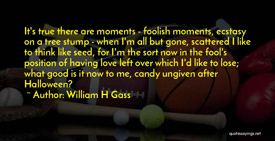 William H Gass Quotes: It's True There Are Moments - Foolish Moments, Ecstasy On A Tree Stump - When I'm All But Gone, Scattered