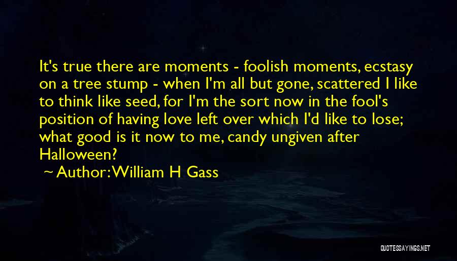 William H Gass Quotes: It's True There Are Moments - Foolish Moments, Ecstasy On A Tree Stump - When I'm All But Gone, Scattered