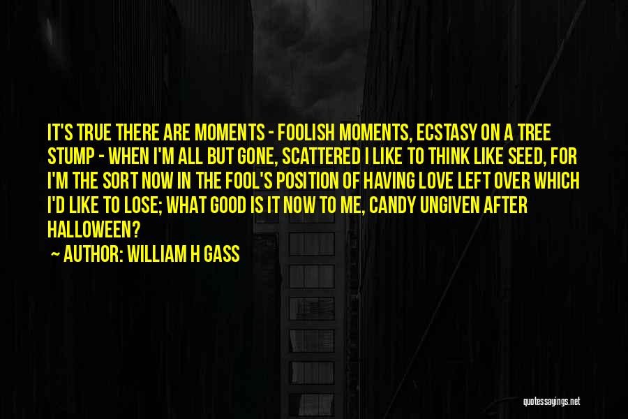 William H Gass Quotes: It's True There Are Moments - Foolish Moments, Ecstasy On A Tree Stump - When I'm All But Gone, Scattered