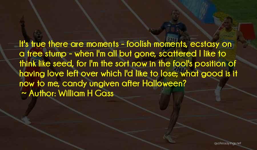 William H Gass Quotes: It's True There Are Moments - Foolish Moments, Ecstasy On A Tree Stump - When I'm All But Gone, Scattered