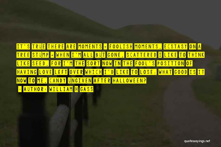 William H Gass Quotes: It's True There Are Moments - Foolish Moments, Ecstasy On A Tree Stump - When I'm All But Gone, Scattered