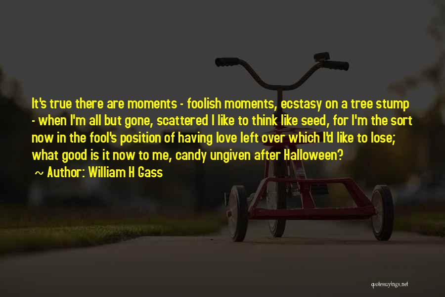 William H Gass Quotes: It's True There Are Moments - Foolish Moments, Ecstasy On A Tree Stump - When I'm All But Gone, Scattered
