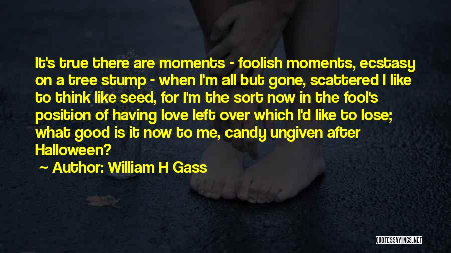 William H Gass Quotes: It's True There Are Moments - Foolish Moments, Ecstasy On A Tree Stump - When I'm All But Gone, Scattered