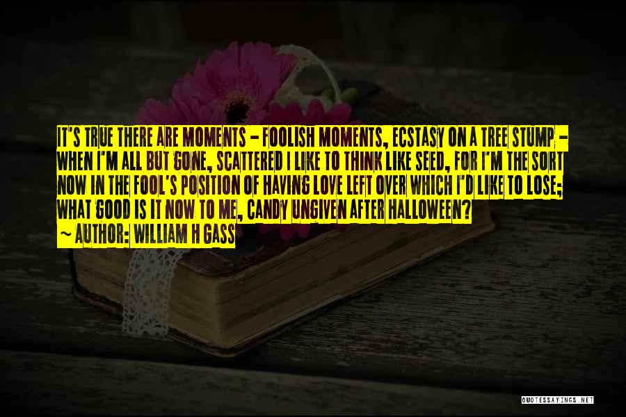 William H Gass Quotes: It's True There Are Moments - Foolish Moments, Ecstasy On A Tree Stump - When I'm All But Gone, Scattered