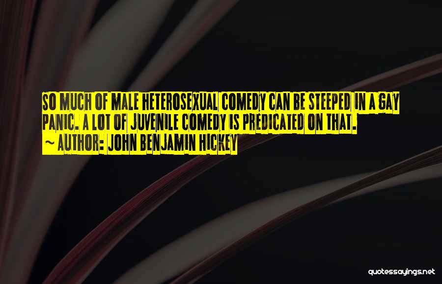 John Benjamin Hickey Quotes: So Much Of Male Heterosexual Comedy Can Be Steeped In A Gay Panic. A Lot Of Juvenile Comedy Is Predicated