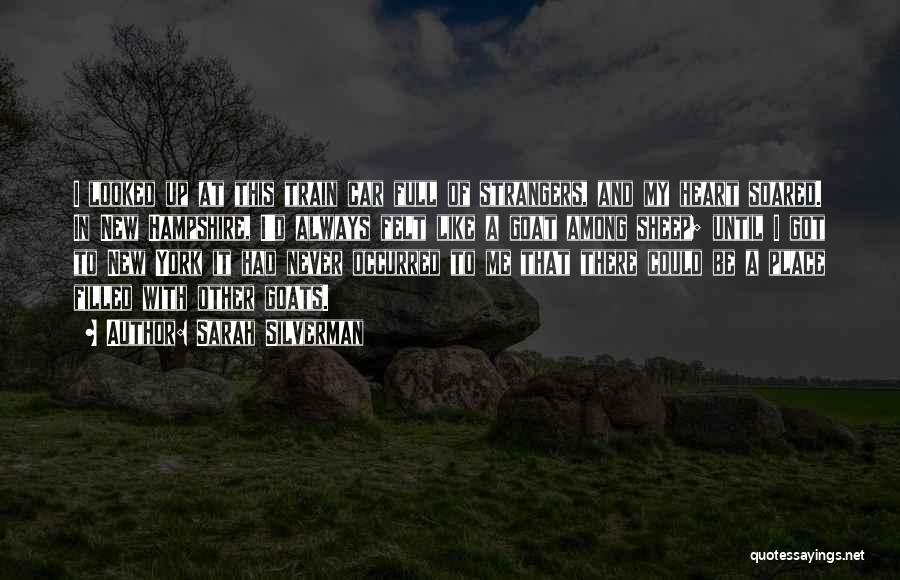 Sarah Silverman Quotes: I Looked Up At This Train Car Full Of Strangers, And My Heart Soared. In New Hampshire, I'd Always Felt