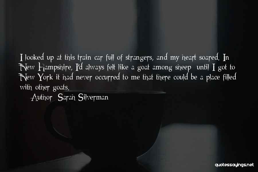 Sarah Silverman Quotes: I Looked Up At This Train Car Full Of Strangers, And My Heart Soared. In New Hampshire, I'd Always Felt