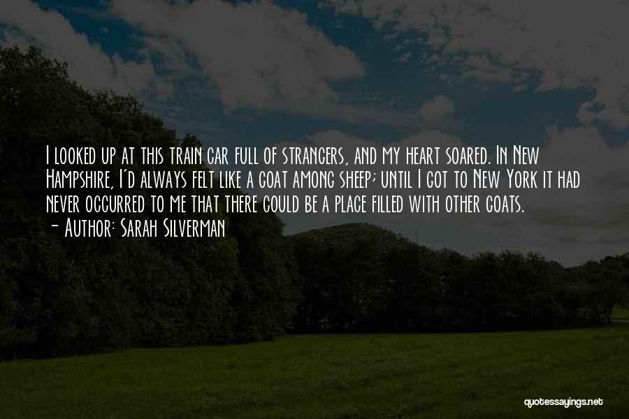 Sarah Silverman Quotes: I Looked Up At This Train Car Full Of Strangers, And My Heart Soared. In New Hampshire, I'd Always Felt