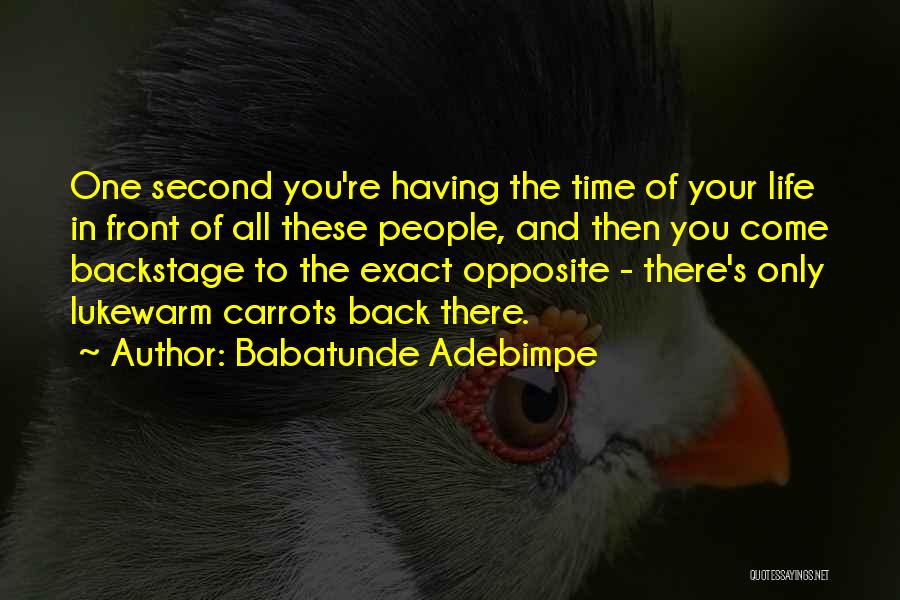 Babatunde Adebimpe Quotes: One Second You're Having The Time Of Your Life In Front Of All These People, And Then You Come Backstage