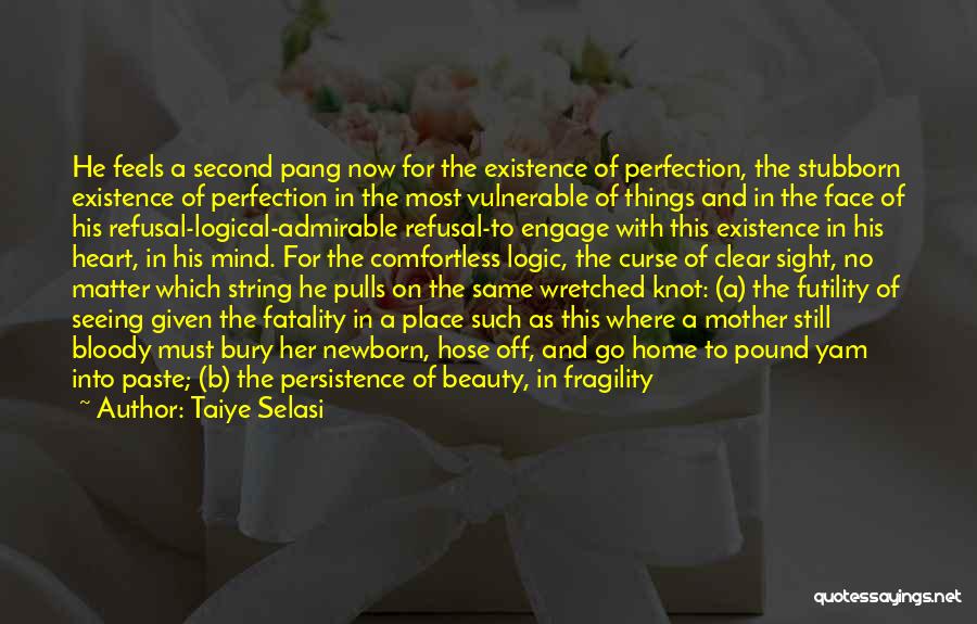 Taiye Selasi Quotes: He Feels A Second Pang Now For The Existence Of Perfection, The Stubborn Existence Of Perfection In The Most Vulnerable