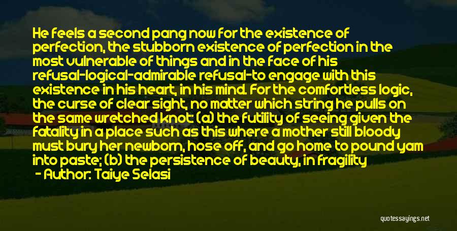 Taiye Selasi Quotes: He Feels A Second Pang Now For The Existence Of Perfection, The Stubborn Existence Of Perfection In The Most Vulnerable