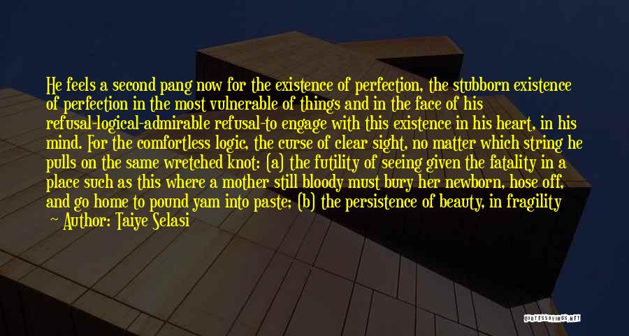 Taiye Selasi Quotes: He Feels A Second Pang Now For The Existence Of Perfection, The Stubborn Existence Of Perfection In The Most Vulnerable