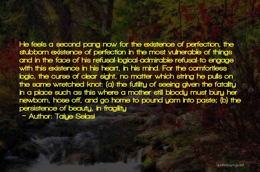 Taiye Selasi Quotes: He Feels A Second Pang Now For The Existence Of Perfection, The Stubborn Existence Of Perfection In The Most Vulnerable