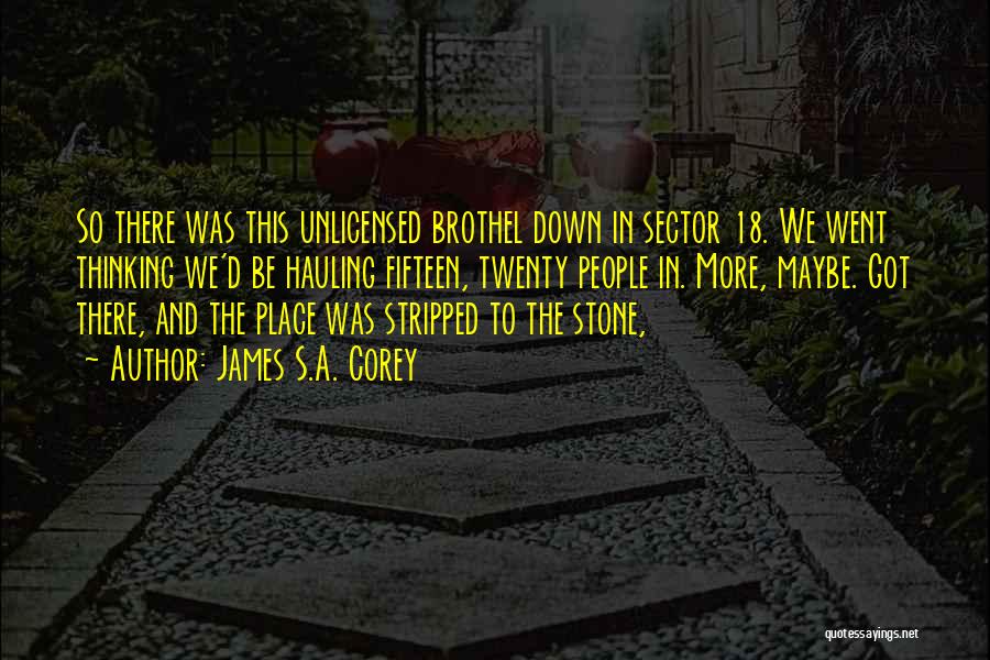James S.A. Corey Quotes: So There Was This Unlicensed Brothel Down In Sector 18. We Went Thinking We'd Be Hauling Fifteen, Twenty People In.