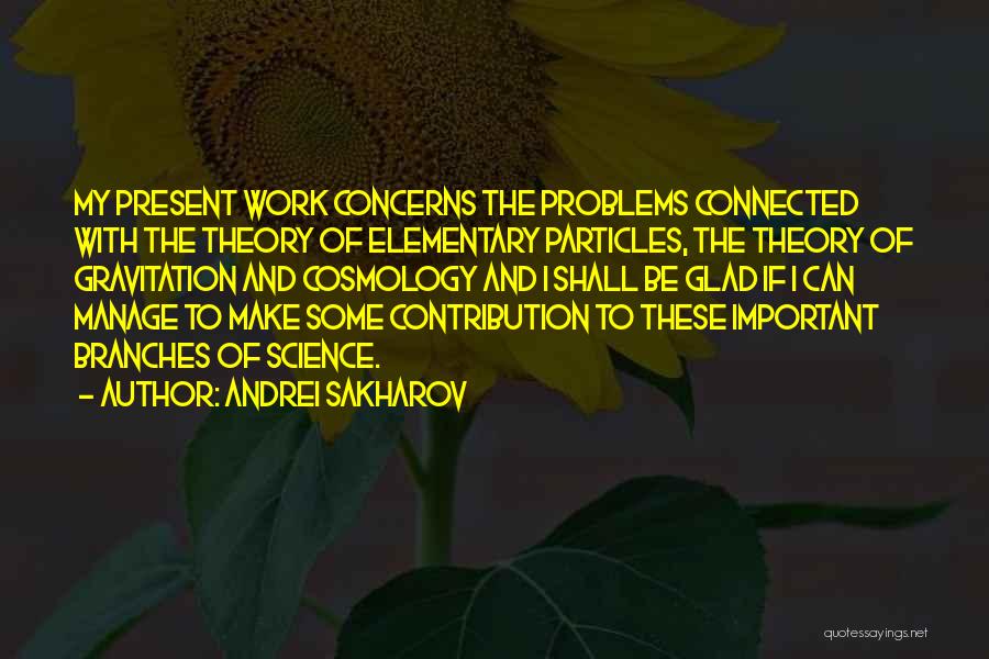 Andrei Sakharov Quotes: My Present Work Concerns The Problems Connected With The Theory Of Elementary Particles, The Theory Of Gravitation And Cosmology And