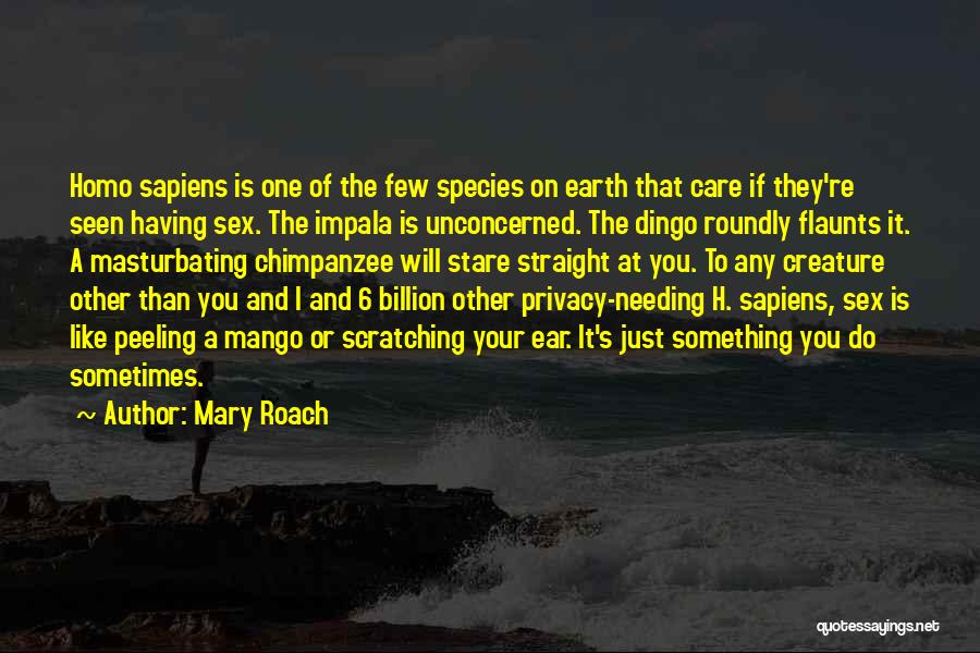 Mary Roach Quotes: Homo Sapiens Is One Of The Few Species On Earth That Care If They're Seen Having Sex. The Impala Is