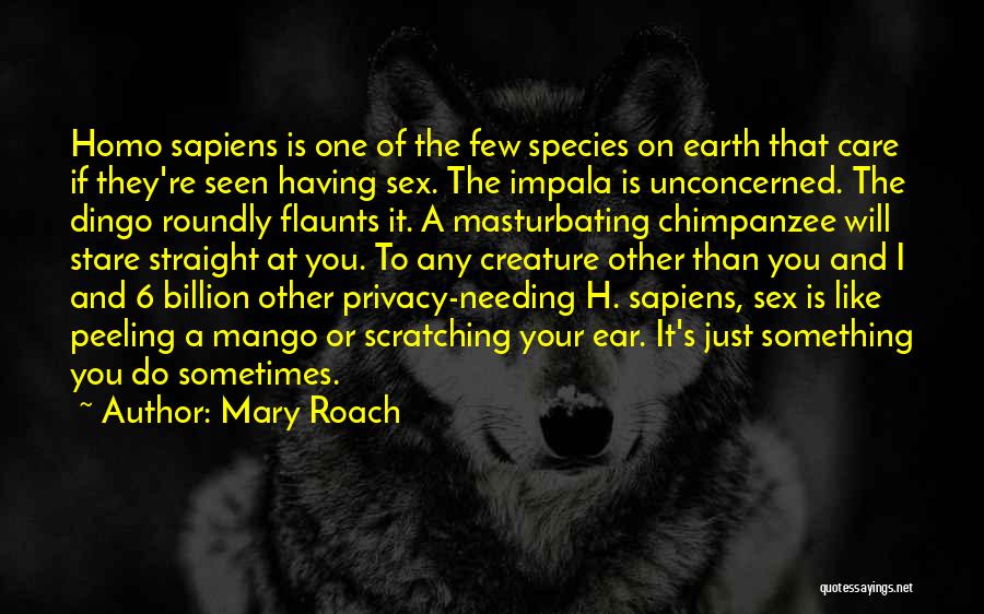 Mary Roach Quotes: Homo Sapiens Is One Of The Few Species On Earth That Care If They're Seen Having Sex. The Impala Is