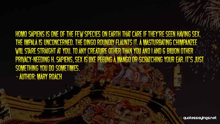 Mary Roach Quotes: Homo Sapiens Is One Of The Few Species On Earth That Care If They're Seen Having Sex. The Impala Is