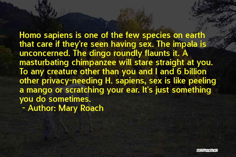 Mary Roach Quotes: Homo Sapiens Is One Of The Few Species On Earth That Care If They're Seen Having Sex. The Impala Is