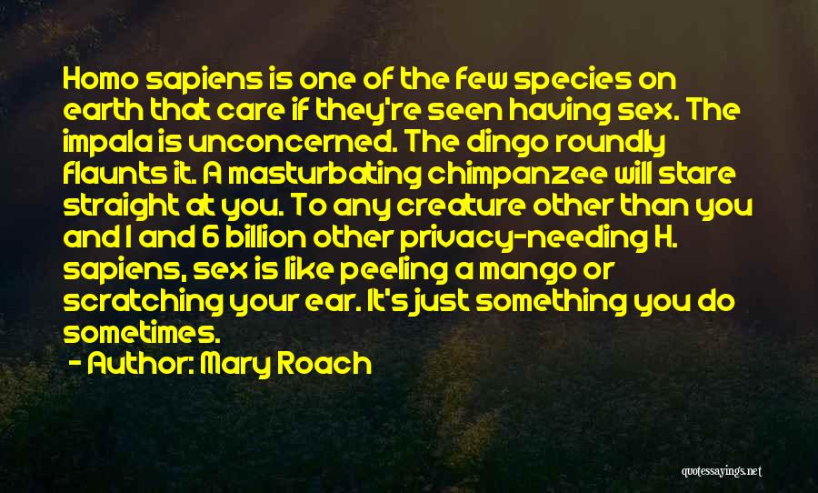 Mary Roach Quotes: Homo Sapiens Is One Of The Few Species On Earth That Care If They're Seen Having Sex. The Impala Is