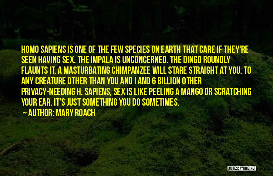 Mary Roach Quotes: Homo Sapiens Is One Of The Few Species On Earth That Care If They're Seen Having Sex. The Impala Is