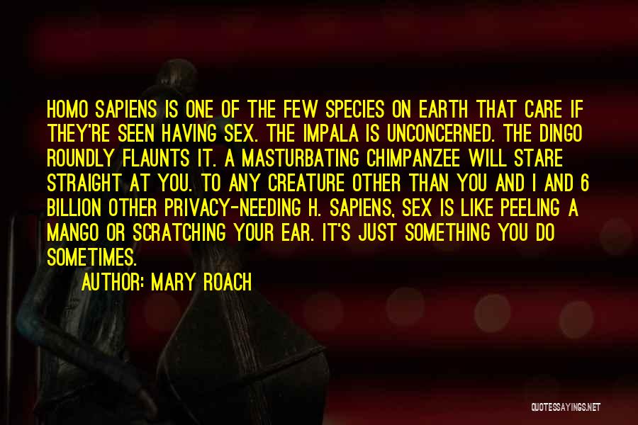 Mary Roach Quotes: Homo Sapiens Is One Of The Few Species On Earth That Care If They're Seen Having Sex. The Impala Is