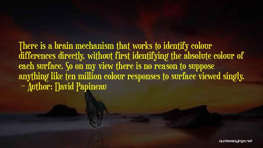 David Papineau Quotes: There Is A Brain Mechanism That Works To Identify Colour Differences Directly, Without First Identifying The Absolute Colour Of Each