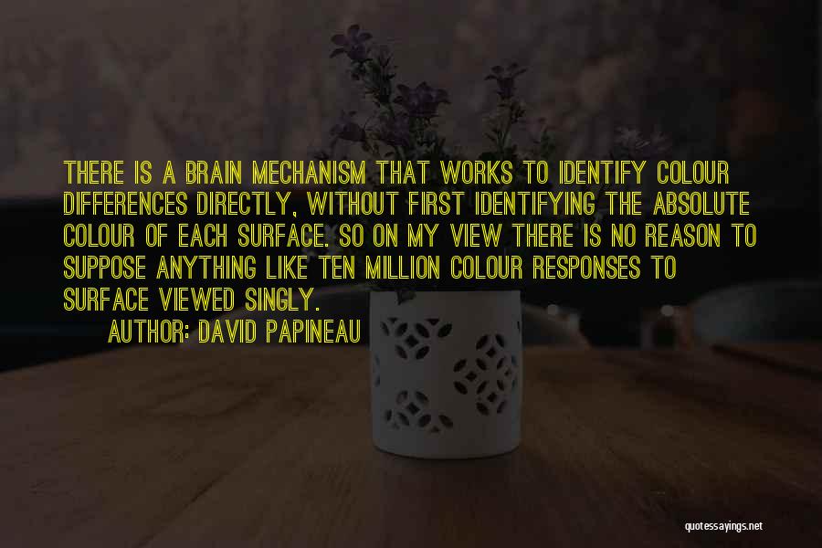 David Papineau Quotes: There Is A Brain Mechanism That Works To Identify Colour Differences Directly, Without First Identifying The Absolute Colour Of Each