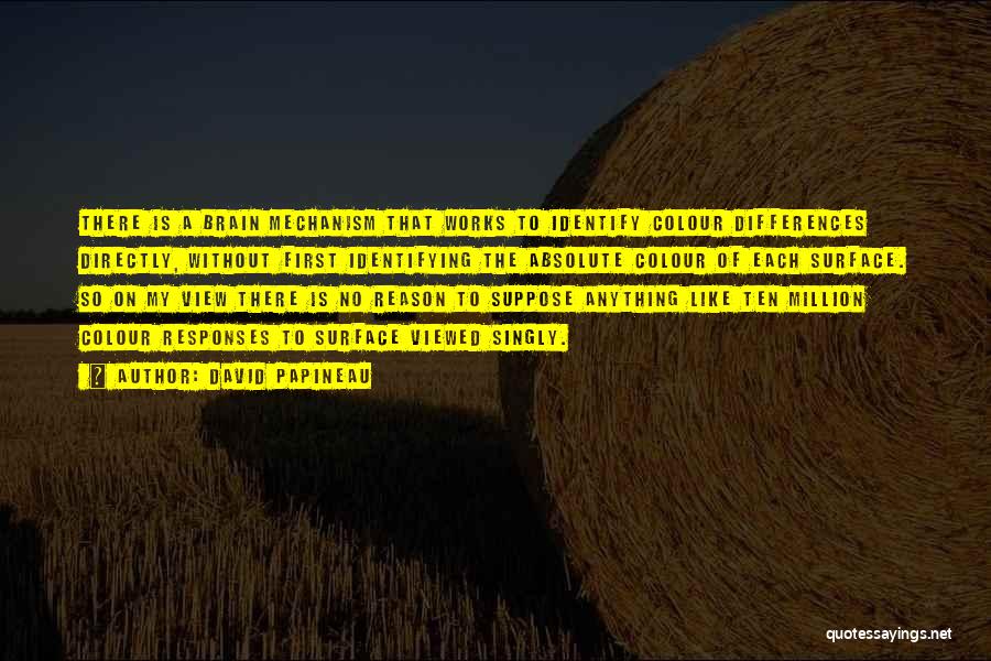 David Papineau Quotes: There Is A Brain Mechanism That Works To Identify Colour Differences Directly, Without First Identifying The Absolute Colour Of Each
