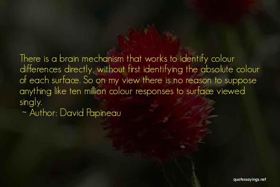 David Papineau Quotes: There Is A Brain Mechanism That Works To Identify Colour Differences Directly, Without First Identifying The Absolute Colour Of Each