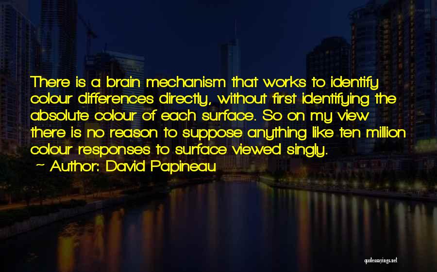 David Papineau Quotes: There Is A Brain Mechanism That Works To Identify Colour Differences Directly, Without First Identifying The Absolute Colour Of Each