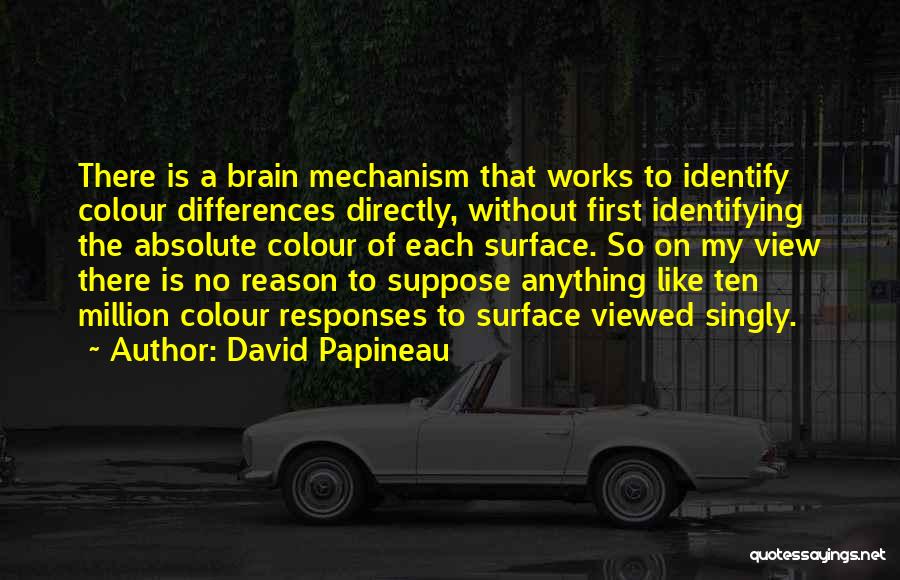 David Papineau Quotes: There Is A Brain Mechanism That Works To Identify Colour Differences Directly, Without First Identifying The Absolute Colour Of Each