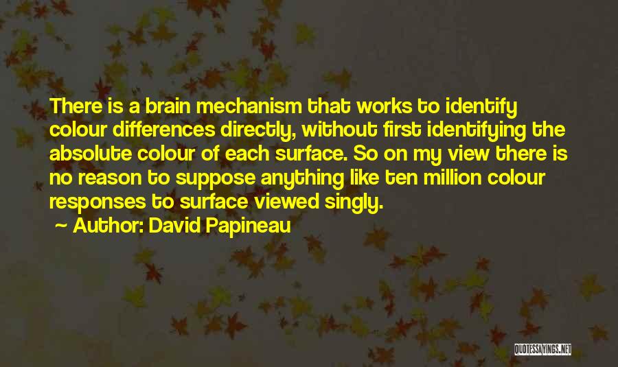 David Papineau Quotes: There Is A Brain Mechanism That Works To Identify Colour Differences Directly, Without First Identifying The Absolute Colour Of Each