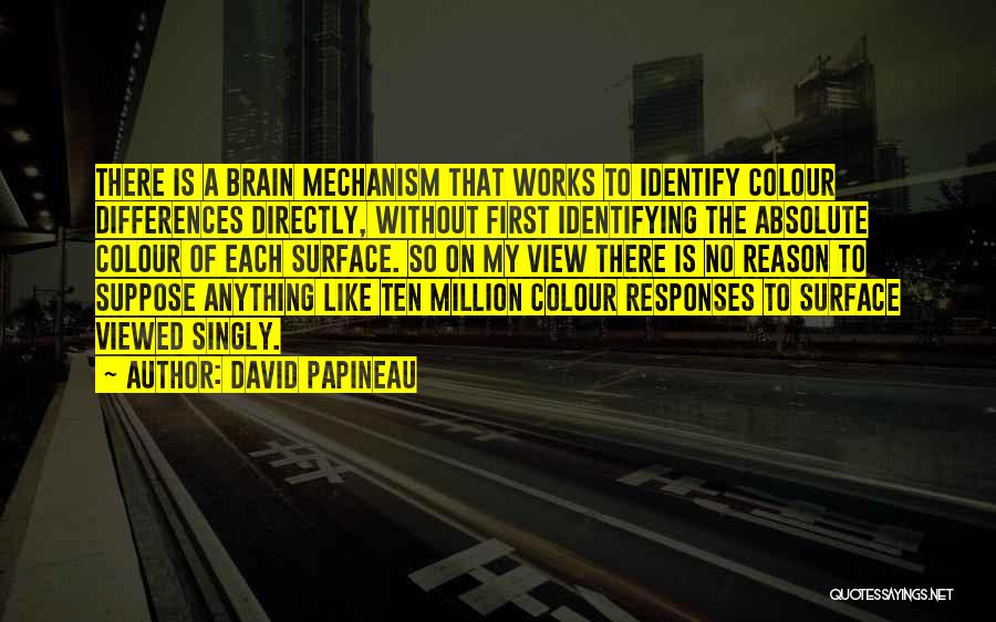 David Papineau Quotes: There Is A Brain Mechanism That Works To Identify Colour Differences Directly, Without First Identifying The Absolute Colour Of Each