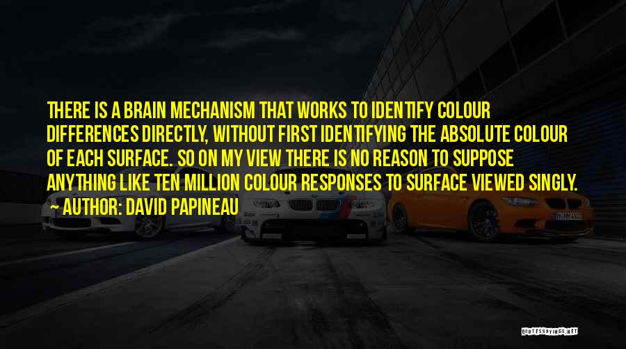 David Papineau Quotes: There Is A Brain Mechanism That Works To Identify Colour Differences Directly, Without First Identifying The Absolute Colour Of Each