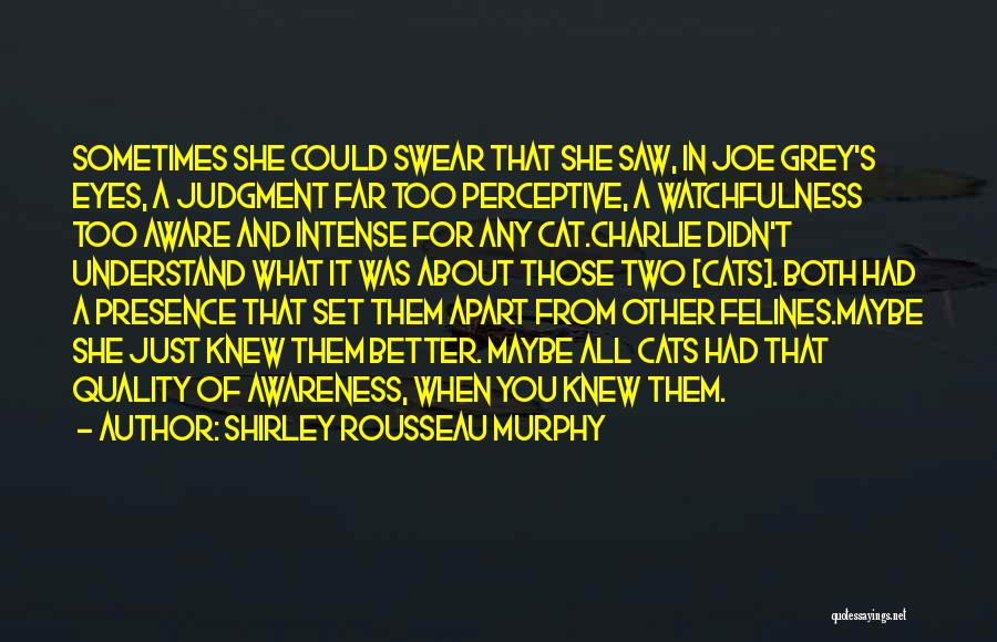 Shirley Rousseau Murphy Quotes: Sometimes She Could Swear That She Saw, In Joe Grey's Eyes, A Judgment Far Too Perceptive, A Watchfulness Too Aware