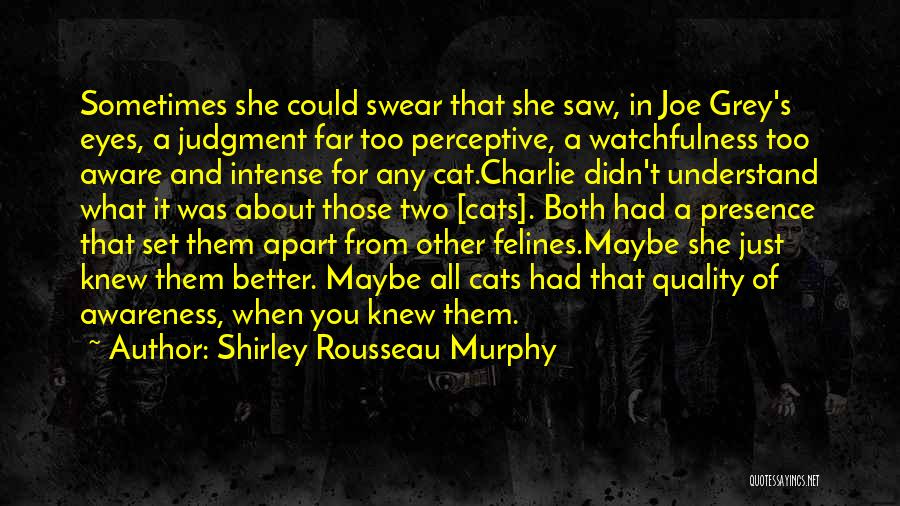 Shirley Rousseau Murphy Quotes: Sometimes She Could Swear That She Saw, In Joe Grey's Eyes, A Judgment Far Too Perceptive, A Watchfulness Too Aware