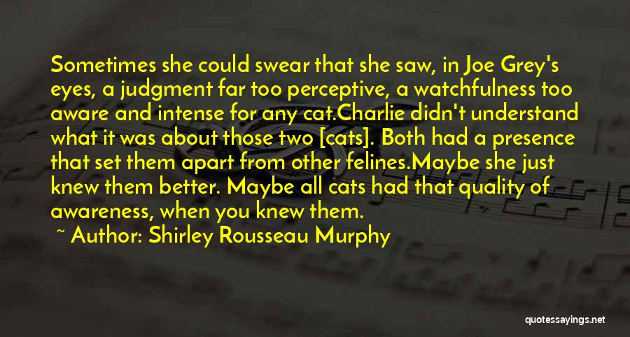 Shirley Rousseau Murphy Quotes: Sometimes She Could Swear That She Saw, In Joe Grey's Eyes, A Judgment Far Too Perceptive, A Watchfulness Too Aware
