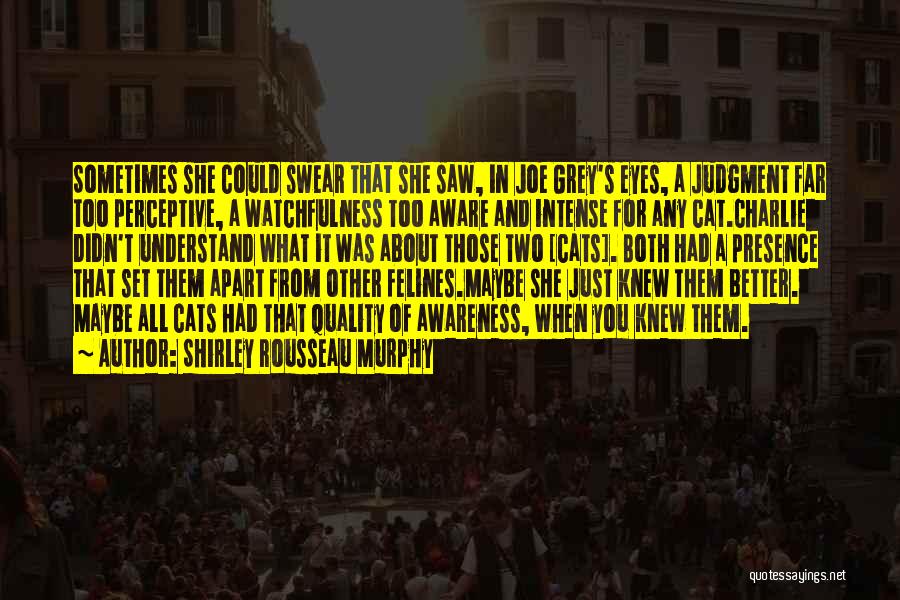Shirley Rousseau Murphy Quotes: Sometimes She Could Swear That She Saw, In Joe Grey's Eyes, A Judgment Far Too Perceptive, A Watchfulness Too Aware