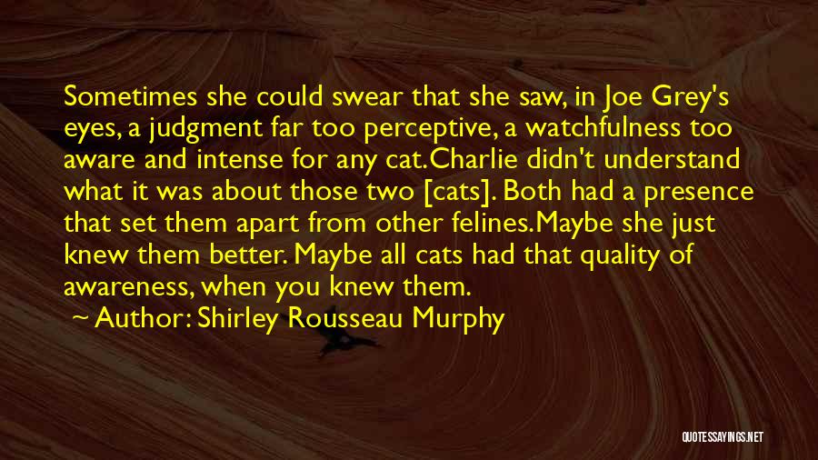 Shirley Rousseau Murphy Quotes: Sometimes She Could Swear That She Saw, In Joe Grey's Eyes, A Judgment Far Too Perceptive, A Watchfulness Too Aware