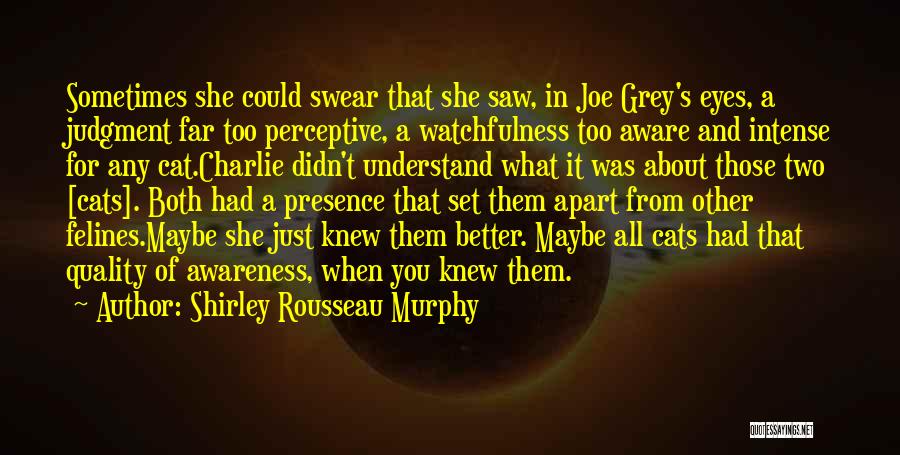Shirley Rousseau Murphy Quotes: Sometimes She Could Swear That She Saw, In Joe Grey's Eyes, A Judgment Far Too Perceptive, A Watchfulness Too Aware
