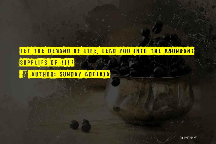 Sunday Adelaja Quotes: Let The Demand Of Life, Lead You Into The Abundant Supplies Of Life