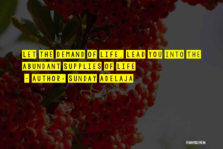 Sunday Adelaja Quotes: Let The Demand Of Life, Lead You Into The Abundant Supplies Of Life