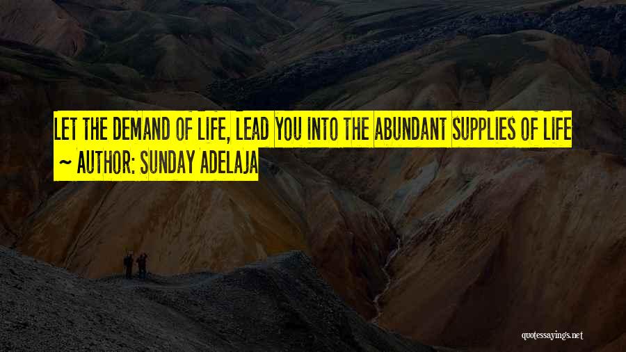 Sunday Adelaja Quotes: Let The Demand Of Life, Lead You Into The Abundant Supplies Of Life