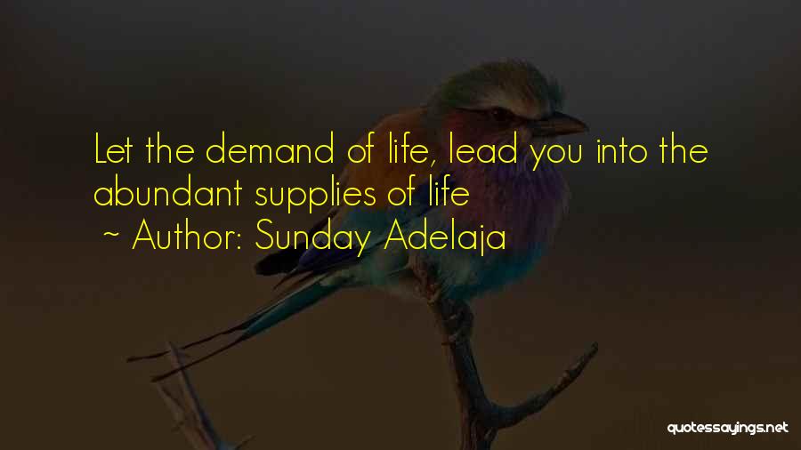 Sunday Adelaja Quotes: Let The Demand Of Life, Lead You Into The Abundant Supplies Of Life