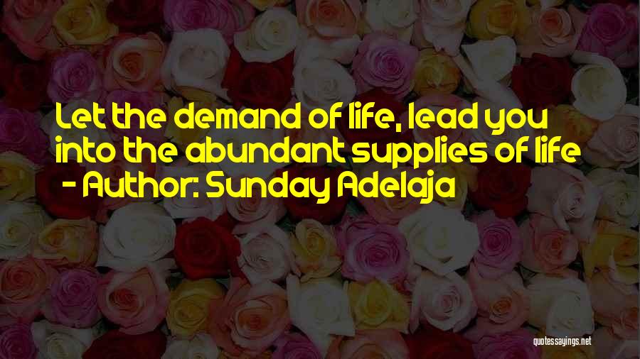 Sunday Adelaja Quotes: Let The Demand Of Life, Lead You Into The Abundant Supplies Of Life