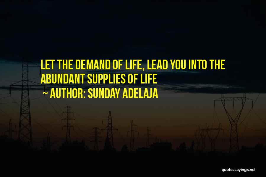 Sunday Adelaja Quotes: Let The Demand Of Life, Lead You Into The Abundant Supplies Of Life