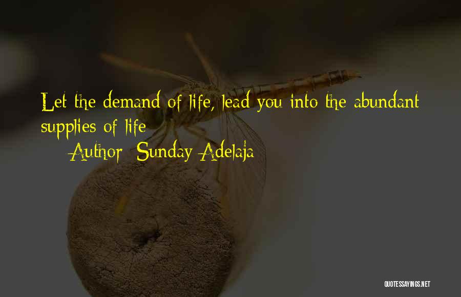Sunday Adelaja Quotes: Let The Demand Of Life, Lead You Into The Abundant Supplies Of Life