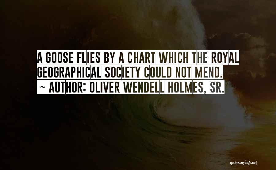 Oliver Wendell Holmes, Sr. Quotes: A Goose Flies By A Chart Which The Royal Geographical Society Could Not Mend.