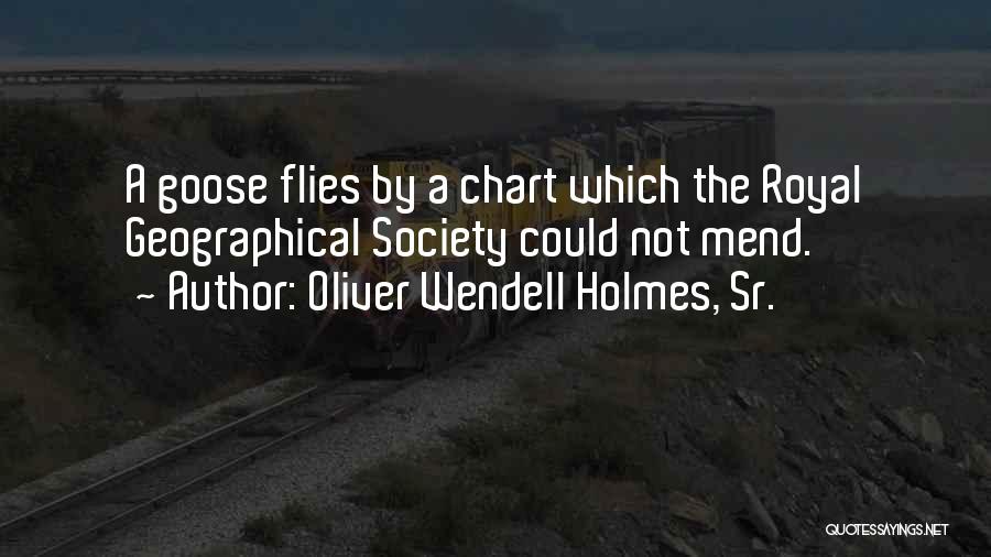 Oliver Wendell Holmes, Sr. Quotes: A Goose Flies By A Chart Which The Royal Geographical Society Could Not Mend.